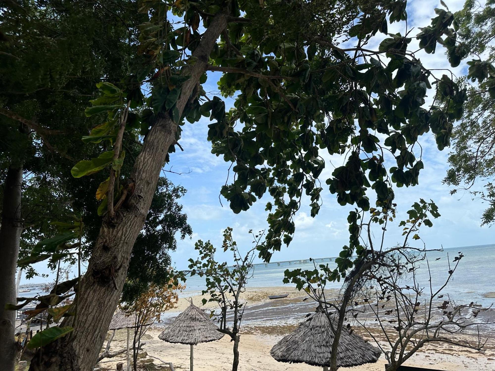 Maweni Beach Bungalows Kilindoni Luaran gambar